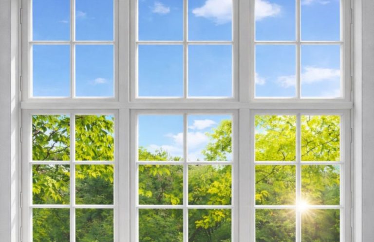 Fensterreinigung – saubere Fenster mit Blick ins Grüne Fensterreinigung – saubere Fenster mit Blick ins Grüne